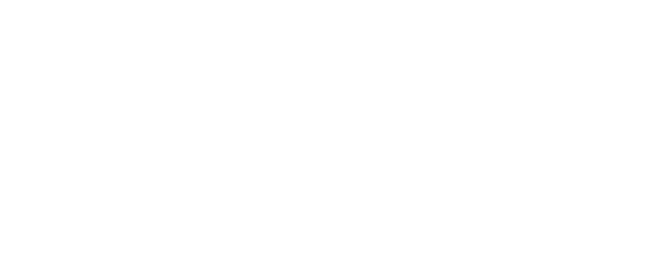 Logo ASE Bureau