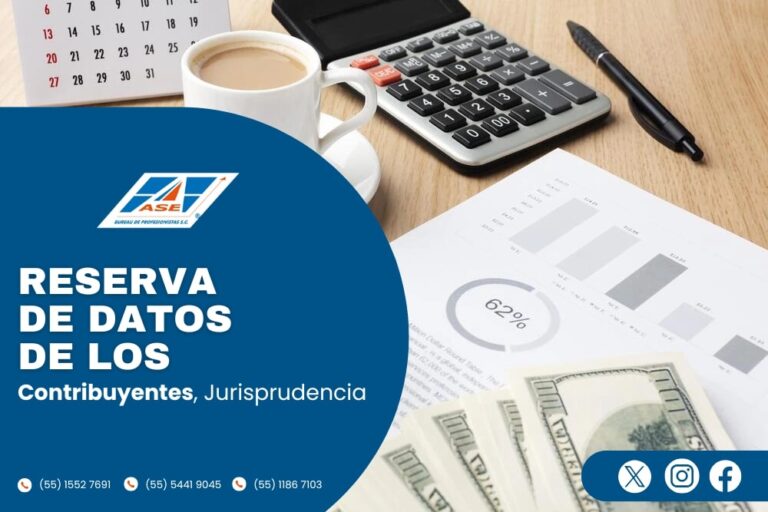 Reserva de Datos de los Contribuyentes, Jurisprudencia